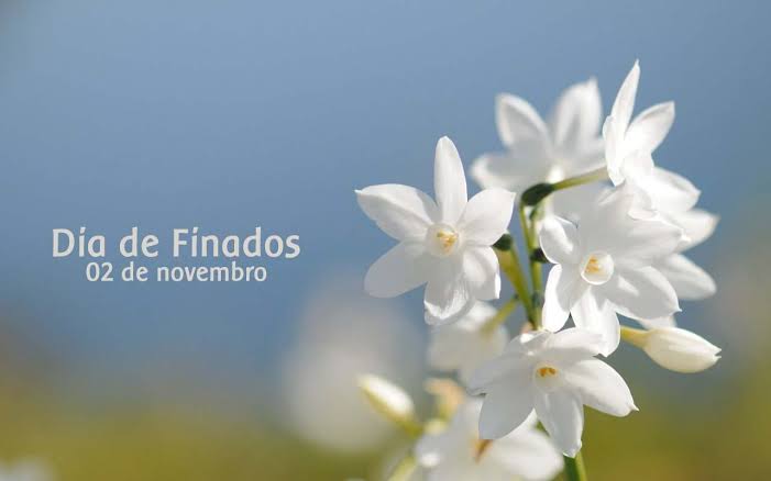 02.11.23 finados