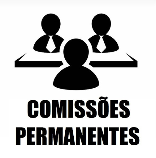 27.01.21 comissoes peq