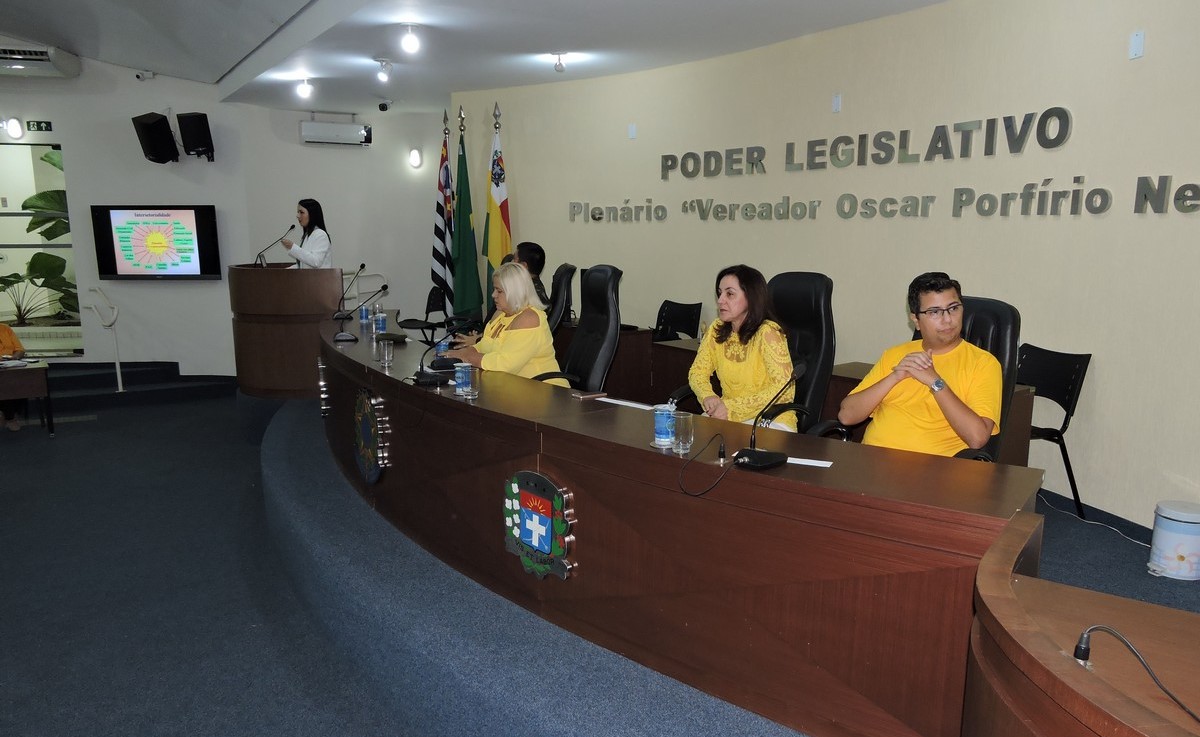 Mariana durante sua palestra
