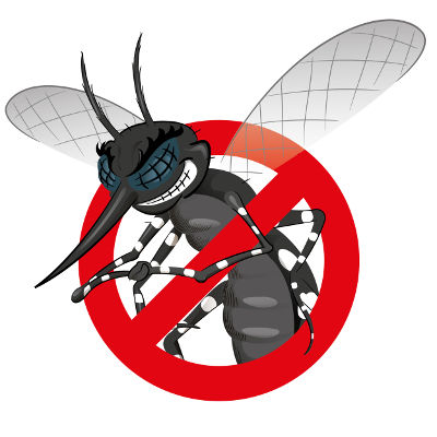 dengue2