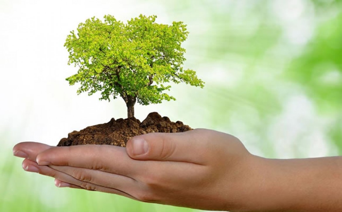meioambiente
