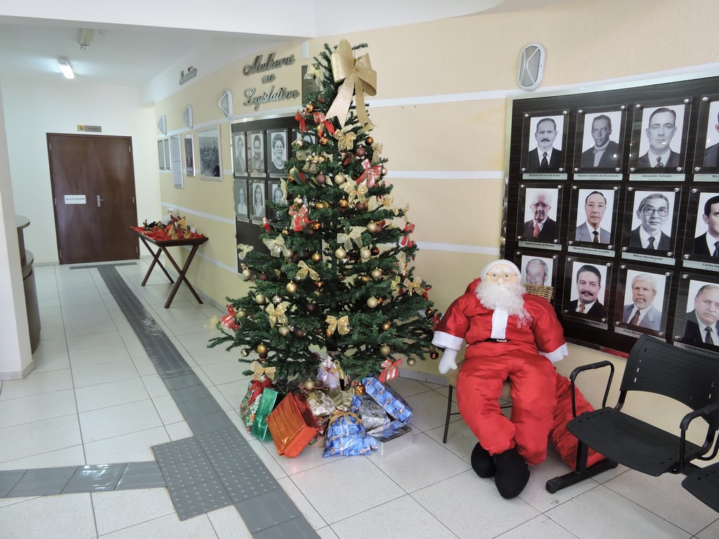 Decoração natalina atrai famílias ao prédio da Câmara Municipal de  Parauapebas - Câmara Municipal de Parauapebas