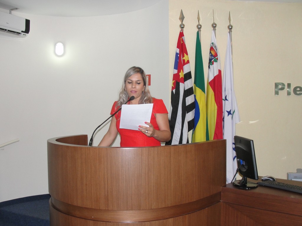 Elaine Assistente Social