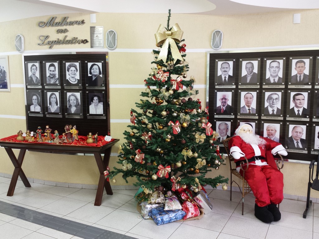Natal Camara ok